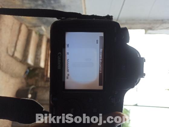 Canon 6D